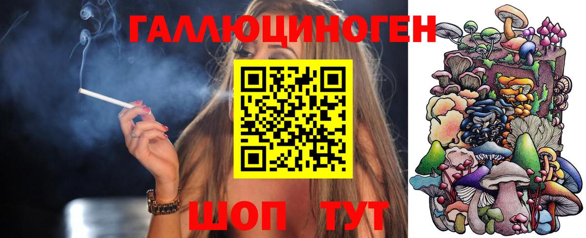 Петропавловск-Камчатский  Псилоцибиновые грибы GOLDEN TEACHER  как найти   Вход с VPN 
